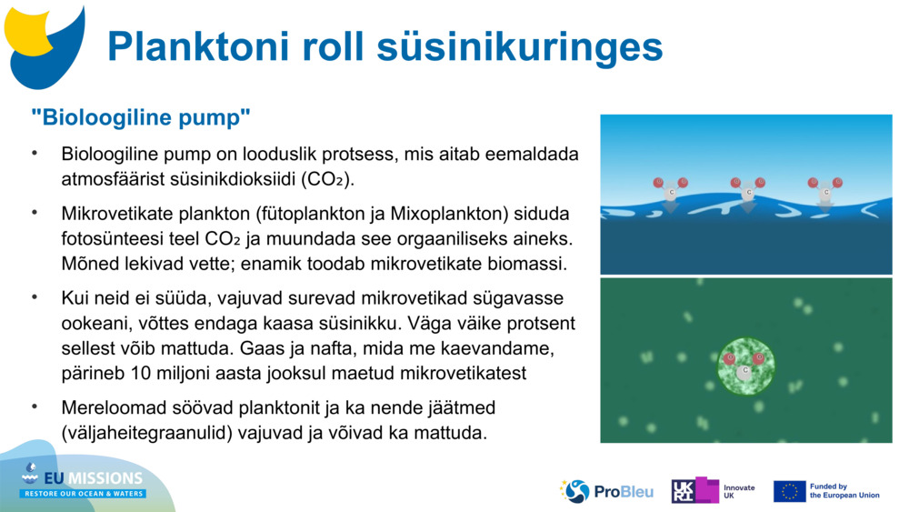 "Bioloogiline pump"