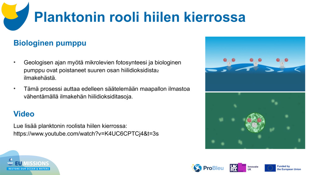 Biologinen pumppu