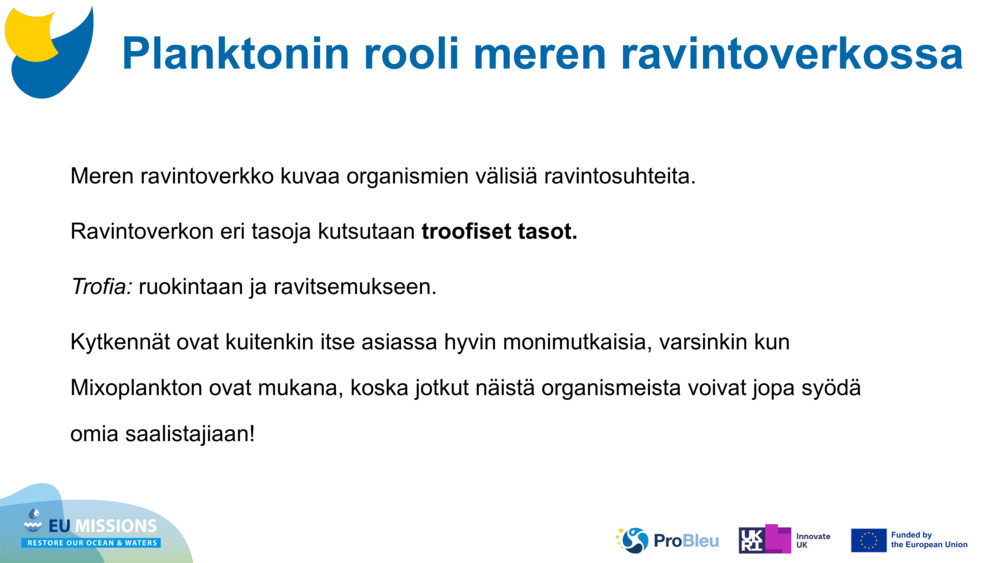 Meren ravintoverkko kuvaa organismien välisiä ravintosuhteita. 