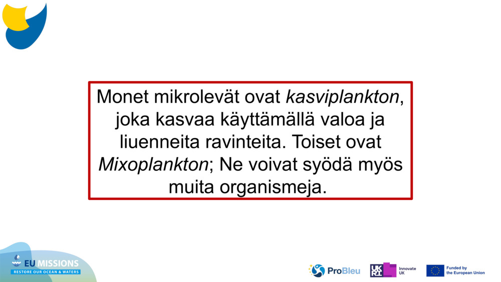 Monet mikrolevät ovat 