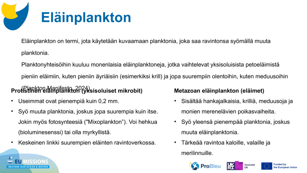 Eläinplankton