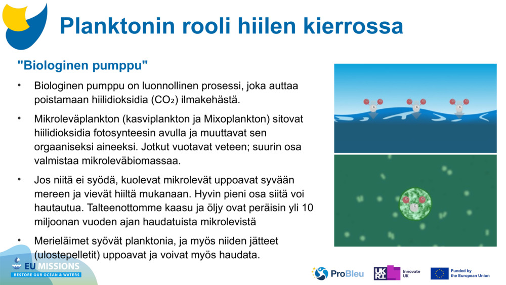 "Biologinen pumppu"