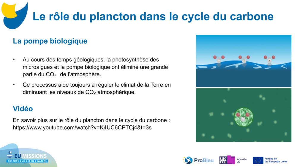 La pompe biologique