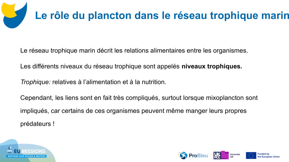 Le réseau trophique marin décrit les relations alimentaires entre les organismes. 