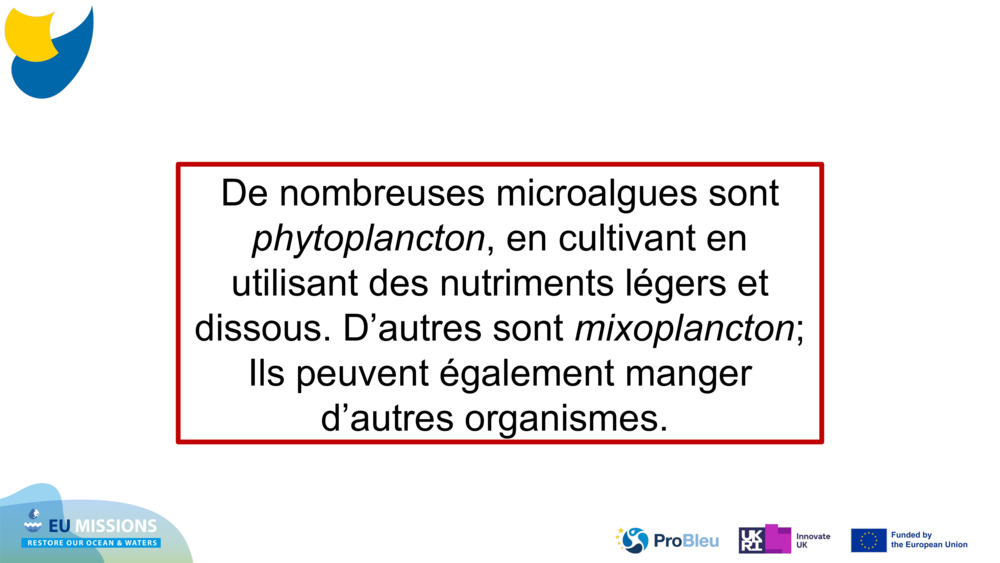 De nombreuses microalgues sont 