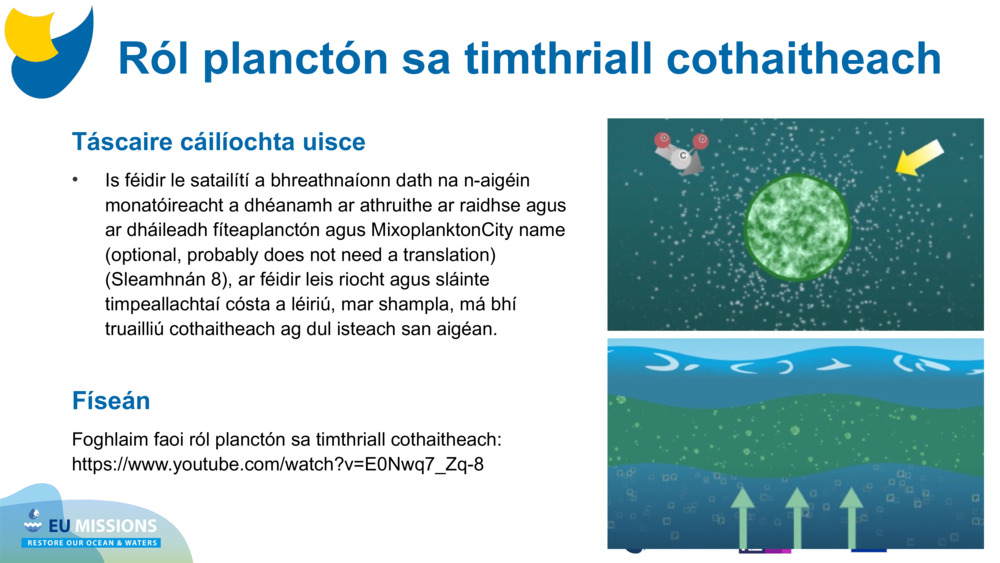 Táscaire cáilíochta uisce