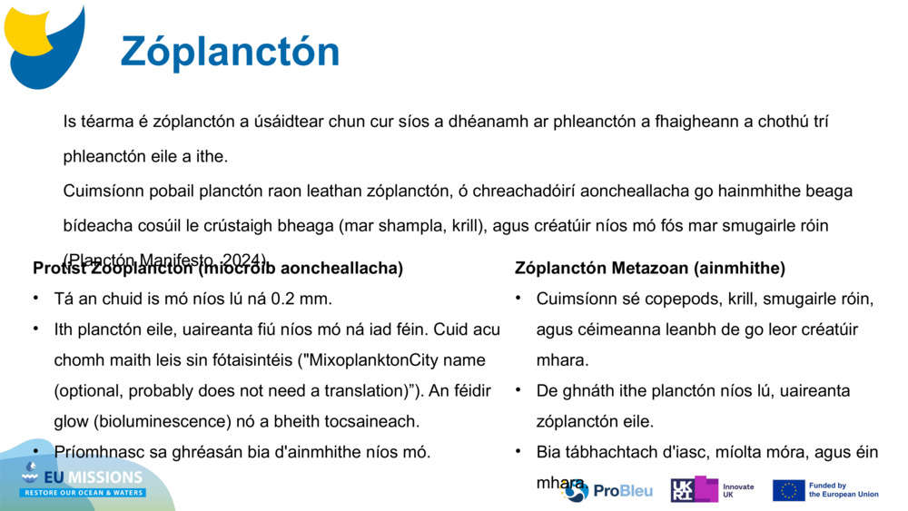 Zóplanctón