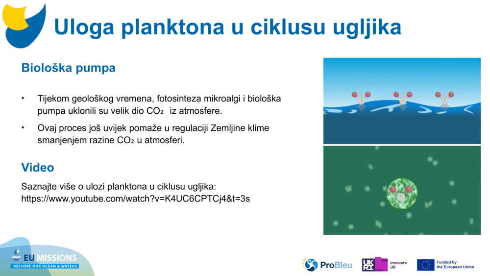 Biološka pumpa