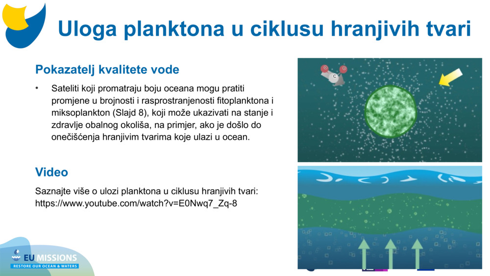 Pokazatelj kvalitete vode