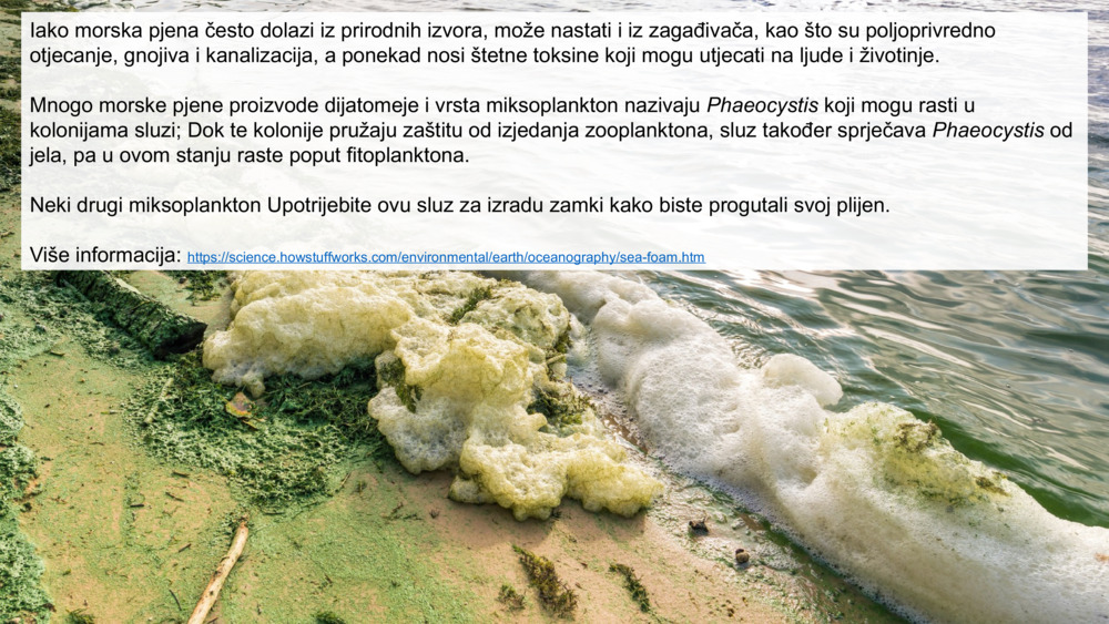 Iako morska pjena često dolazi iz prirodnih izvora, može nastati i iz zagađivača, kao što su poljoprivredno otjecanje, gnojiva i kanalizacija, a ponekad nosi štetne toksine koji mogu utjecati na ljude i životinje.