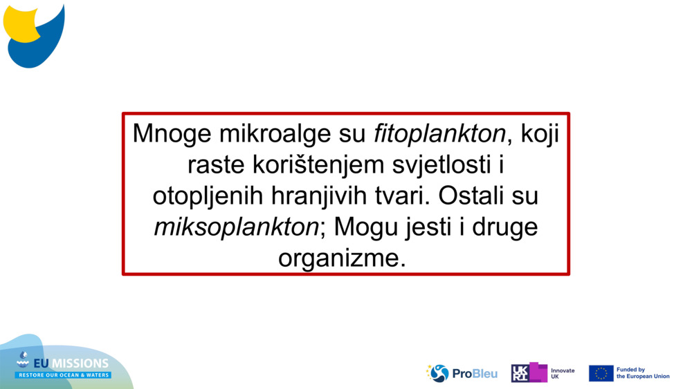 Mnoge mikroalge su 