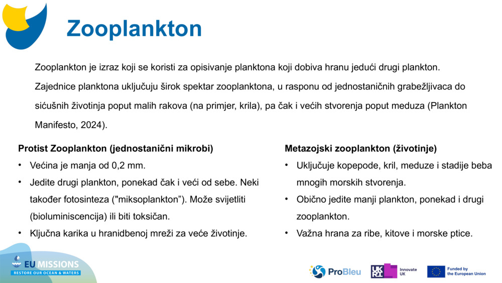 Zooplankton