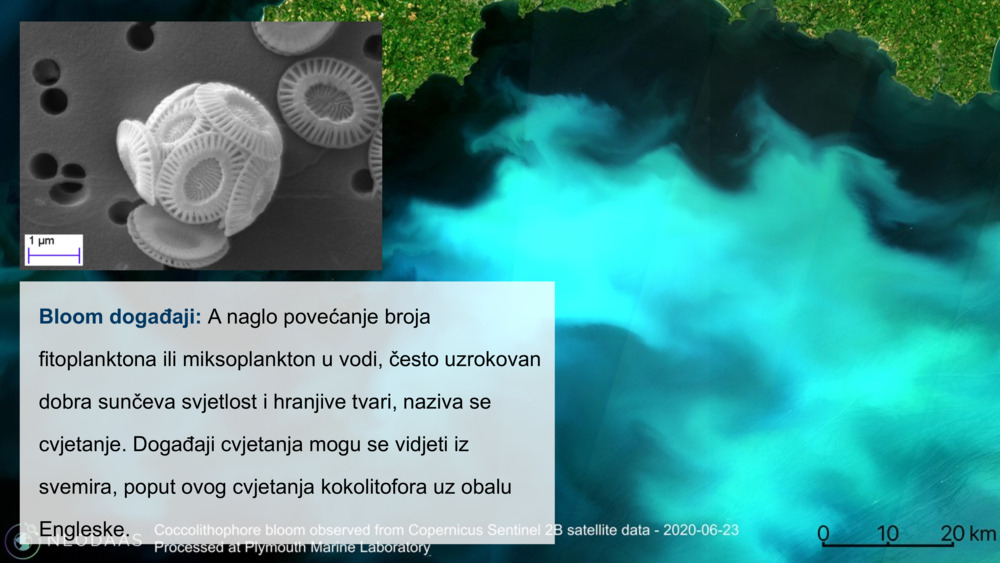 Bloom događaji: 