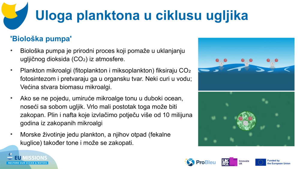 'Biološka pumpa'