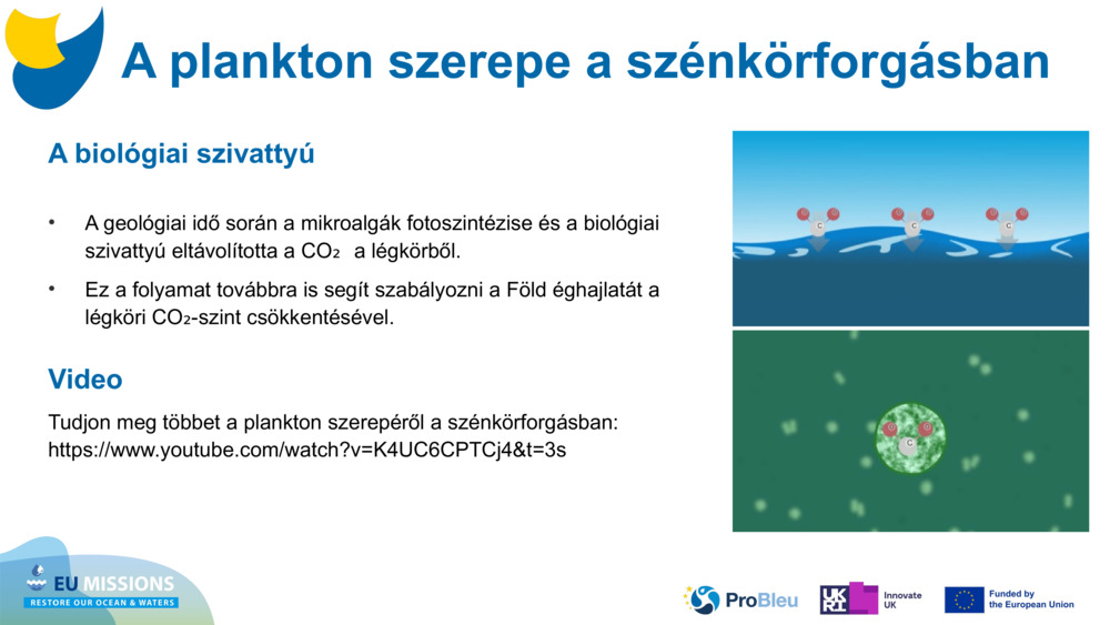 A biológiai szivattyú
