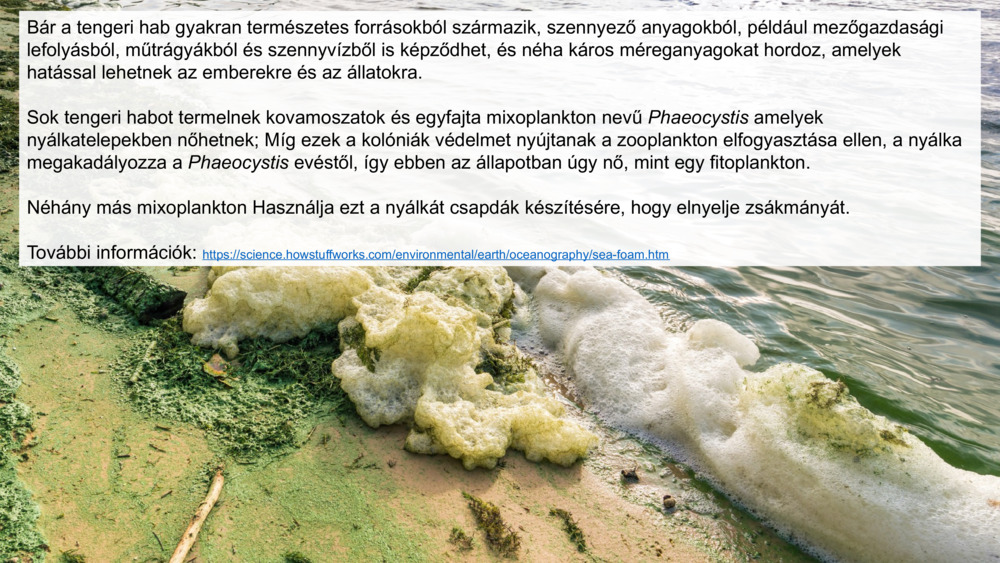 Bár a tengeri hab gyakran természetes forrásokból származik, szennyező anyagokból, például mezőgazdasági lefolyásból, műtrágyákból és szennyvízből is képződhet, és néha káros méreganyagokat hordoz, amelyek hatással lehetnek az emberekre és az állatokra.