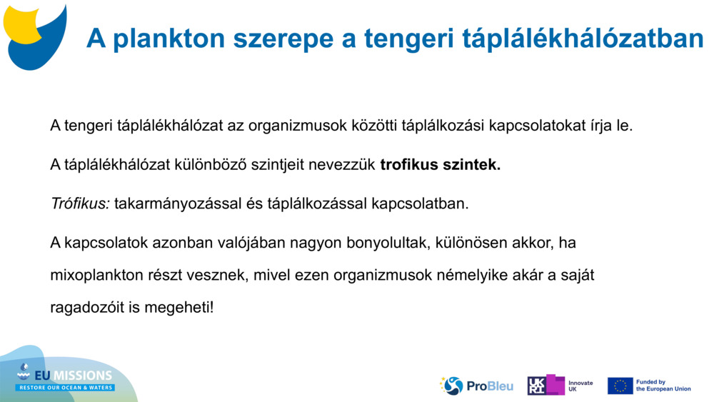 A tengeri táplálékhálózat az organizmusok közötti táplálkozási kapcsolatokat írja le. 
