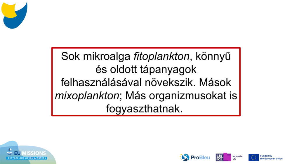 Sok mikroalga 