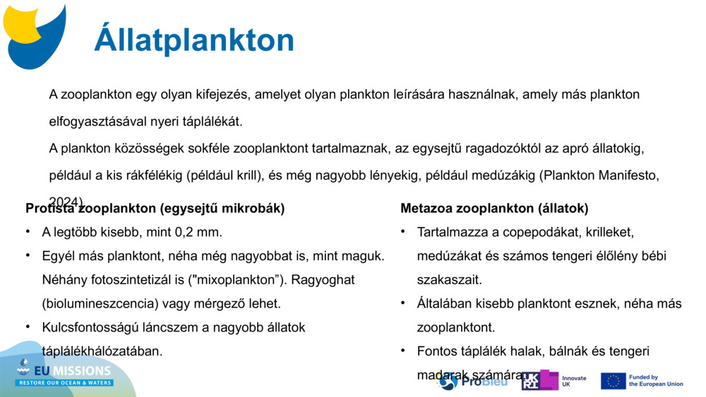 Állatplankton