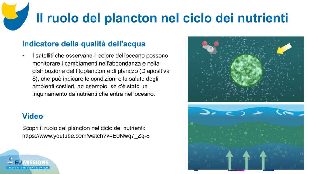 Indicatore della qualità dell'acqua