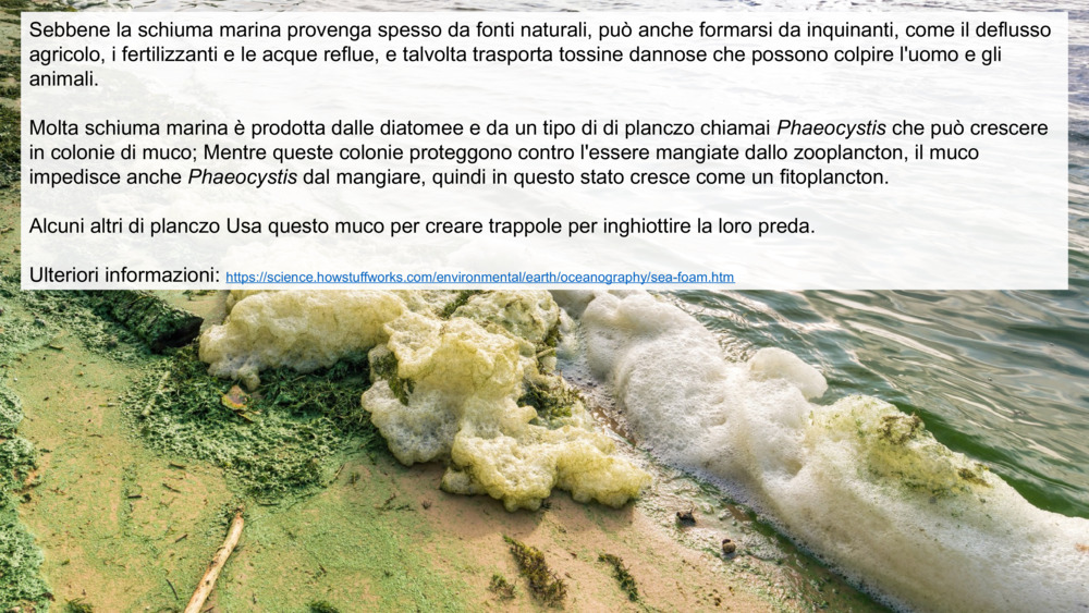 Sebbene la schiuma marina provenga spesso da fonti naturali, può anche formarsi da inquinanti, come il deflusso agricolo, i fertilizzanti e le acque reflue, e talvolta trasporta tossine dannose che possono colpire l'uomo e gli animali.
