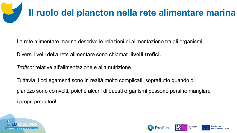 La rete alimentare marina descrive le relazioni di alimentazione tra gli organismi. 
