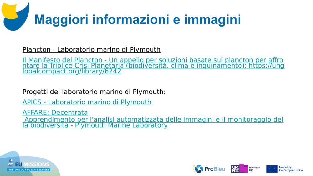 Plancton - Laboratorio marino di Plymouth