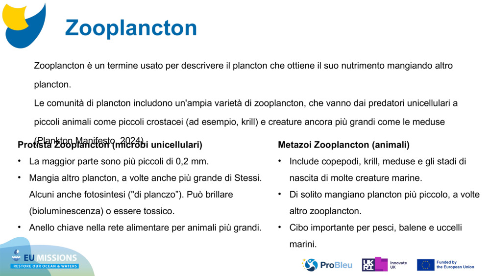 Zooplancton