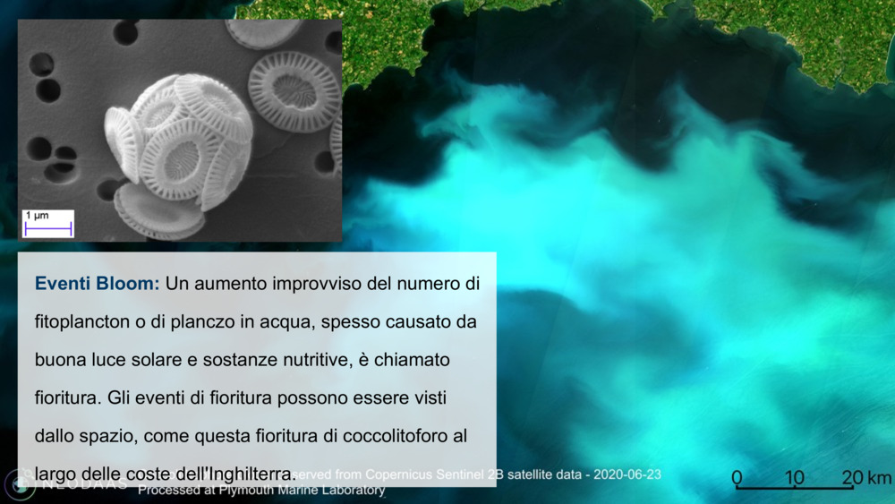 Eventi Bloom: 