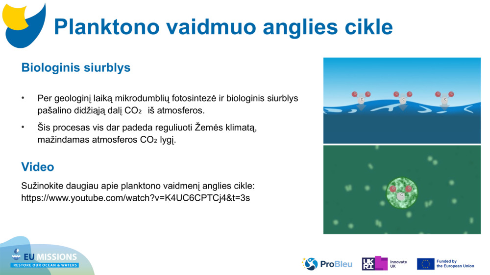 Biologinis siurblys