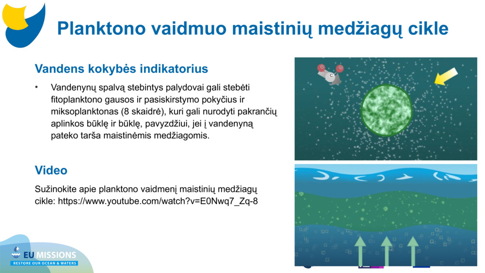 Vandens kokybės indikatorius