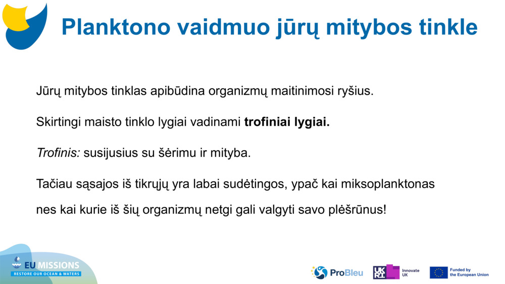 Jūrų mitybos tinklas apibūdina organizmų maitinimosi ryšius. 