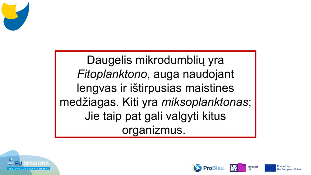Daugelis mikrodumblių yra 