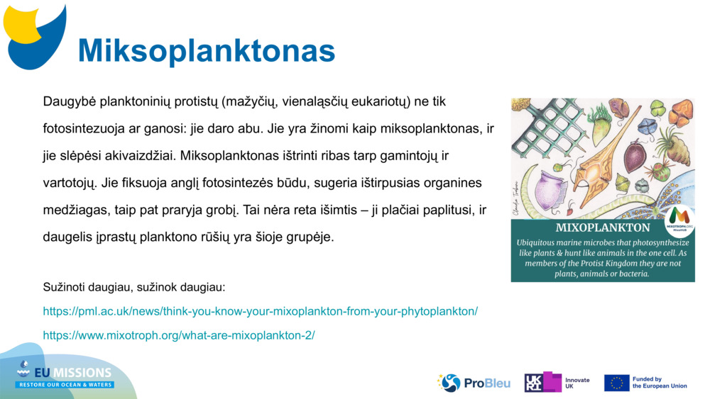Miksoplanktonas