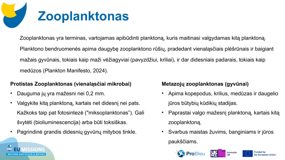 Zooplanktonas