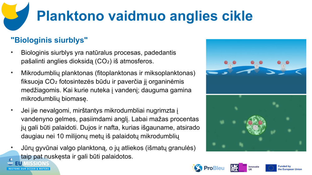 "Biologinis siurblys"
