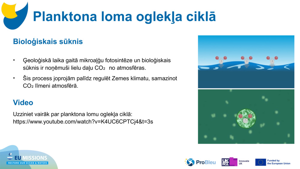 Bioloģiskais sūknis