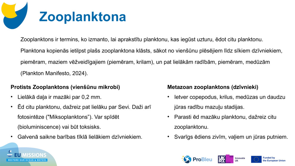 Zooplanktona