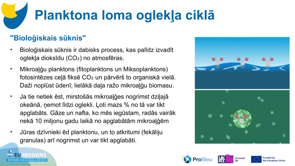 "Bioloģiskais sūknis"