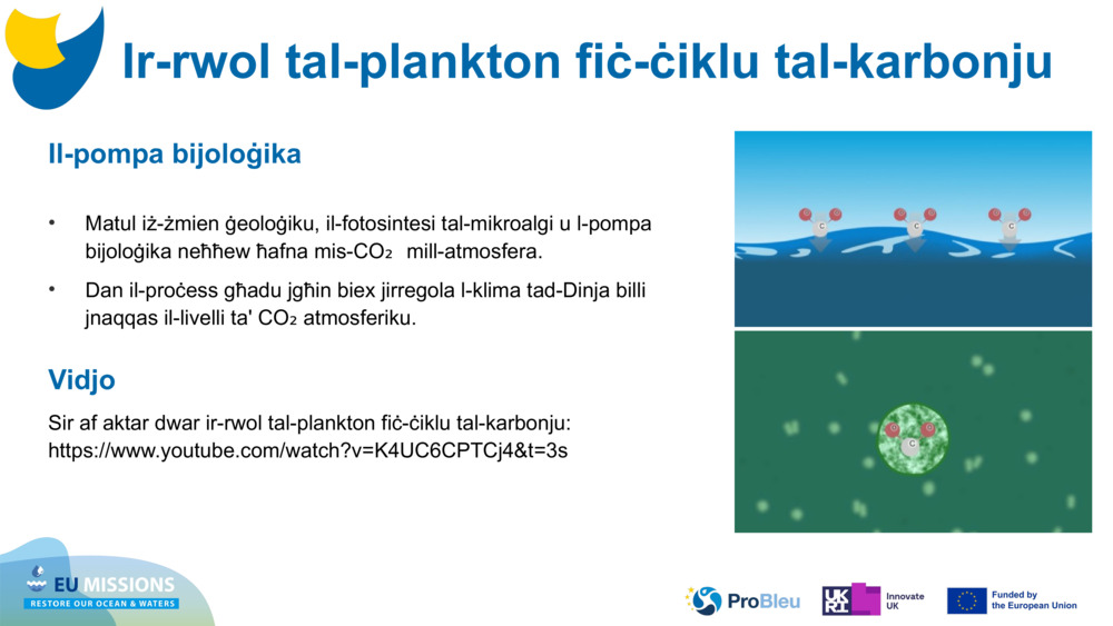 Il-pompa bijoloġika