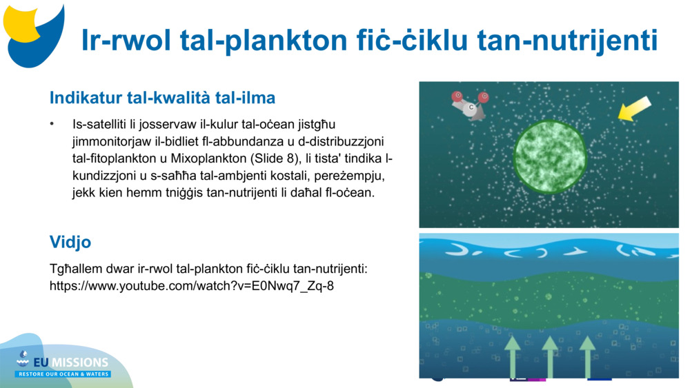 Indikatur tal-kwalità tal-ilma