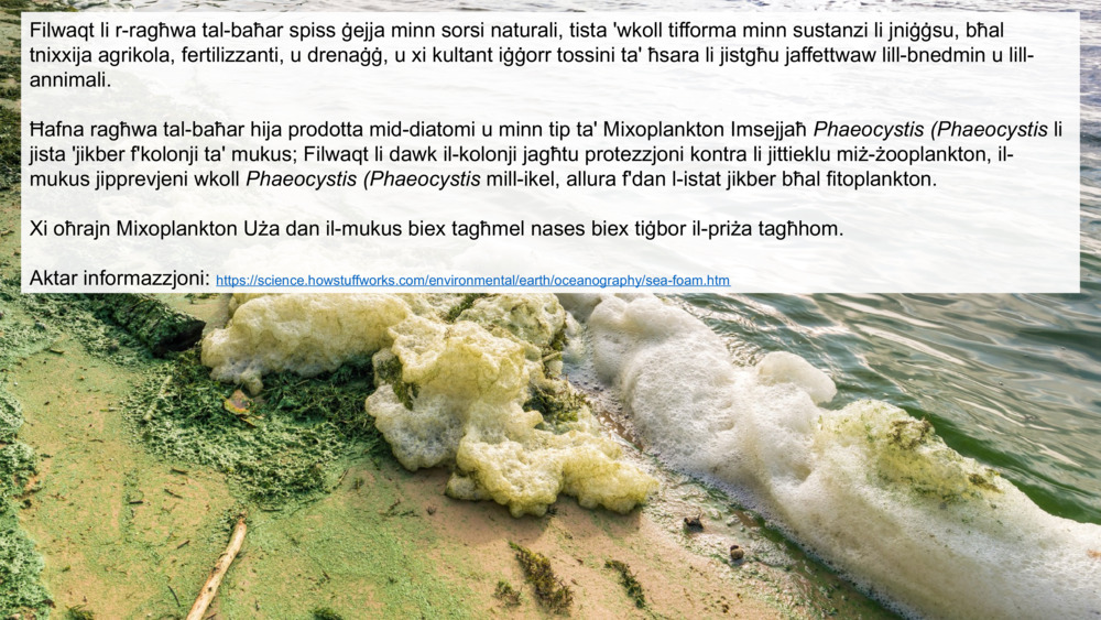 Filwaqt li r-ragħwa tal-baħar spiss ġejja minn sorsi naturali, tista 'wkoll tifforma minn sustanzi li jniġġsu, bħal tnixxija agrikola, fertilizzanti, u drenaġġ, u xi kultant iġġorr tossini ta' ħsara li jistgħu jaffettwaw lill-bnedmin u lill-annimali.