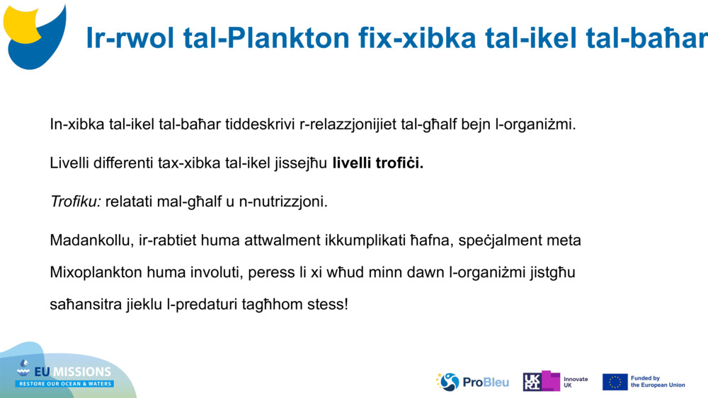 In-xibka tal-ikel tal-baħar tiddeskrivi r-relazzjonijiet tal-għalf bejn l-organiżmi. 