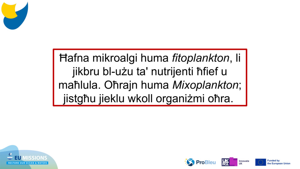 Ħafna mikroalgi huma 