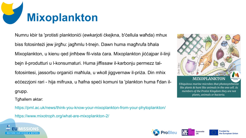 Mixoplankton