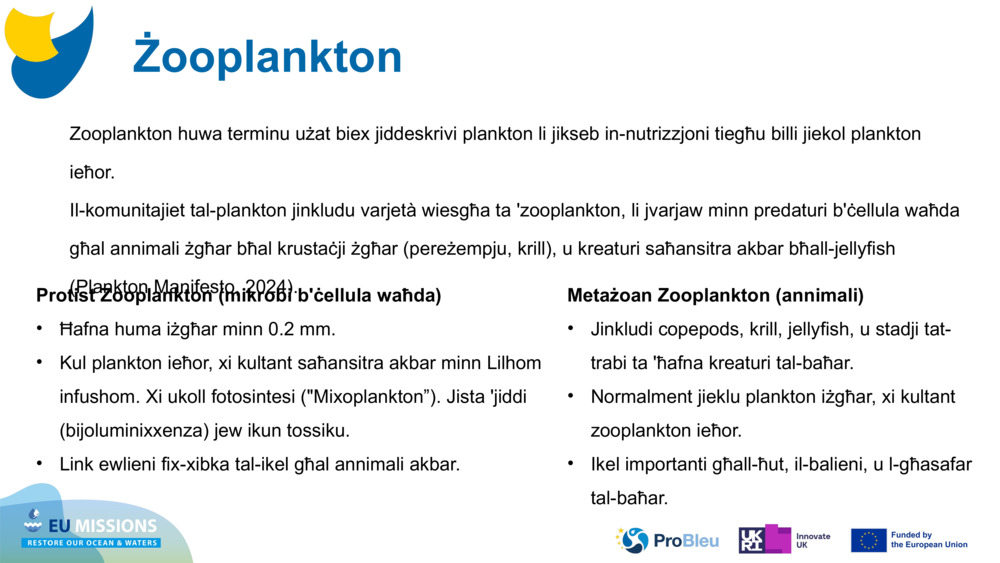 Żooplankton