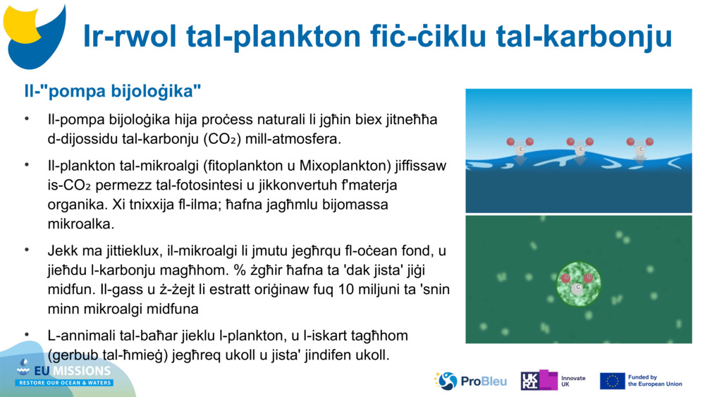 Il-"pompa bijoloġika"