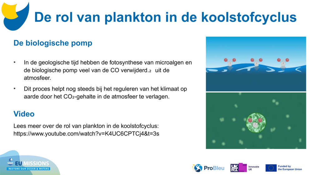 De biologische pomp