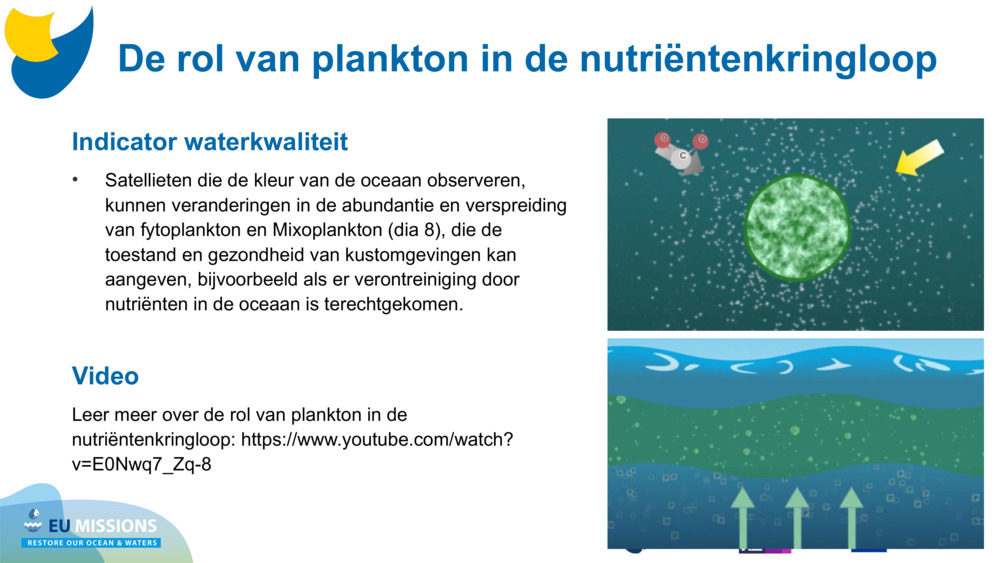 Indicator waterkwaliteit