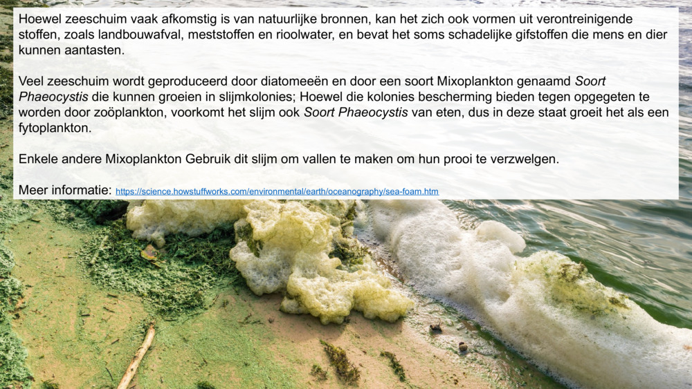 Hoewel zeeschuim vaak afkomstig is van natuurlijke bronnen, kan het zich ook vormen uit verontreinigende stoffen, zoals landbouwafval, meststoffen en rioolwater, en bevat het soms schadelijke gifstoffen die mens en dier kunnen aantasten.